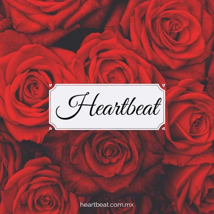 Heartbeat Roses